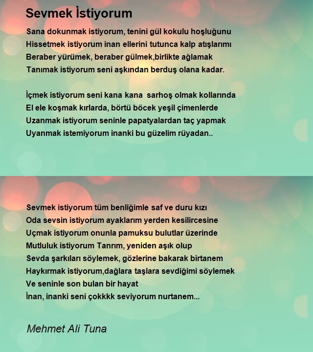 Mehmet Ali Tuna