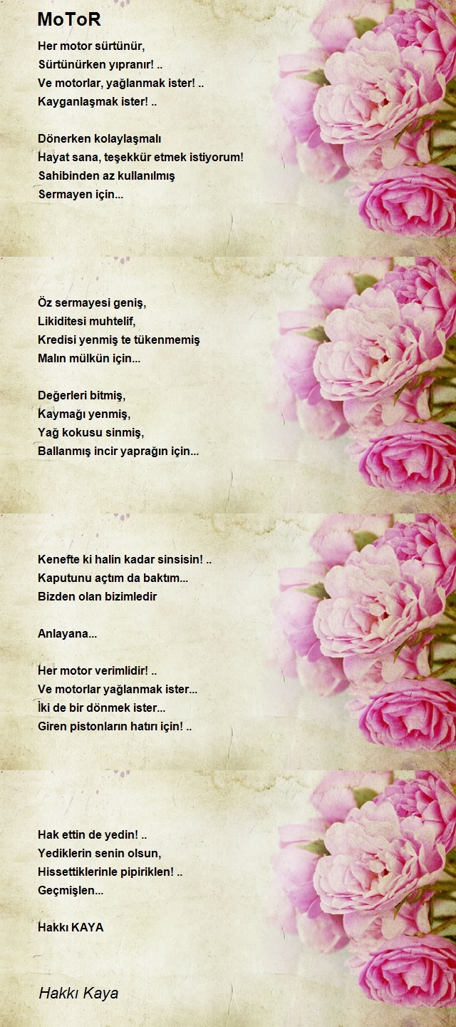 Hakkı Kaya