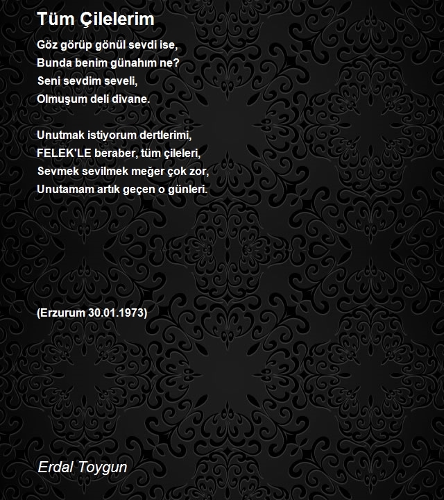Erdal Toygun