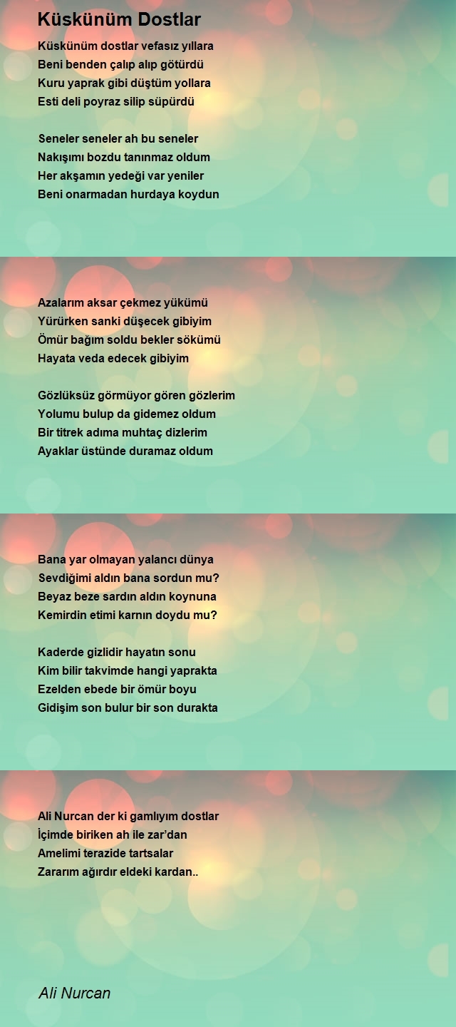 Ali Nurcan