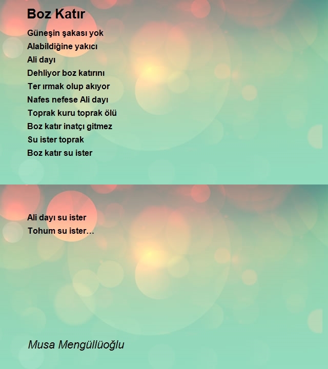 Musa Mengüllüoğlu