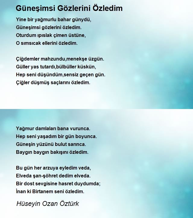Hüseyin Ozan Öztürk