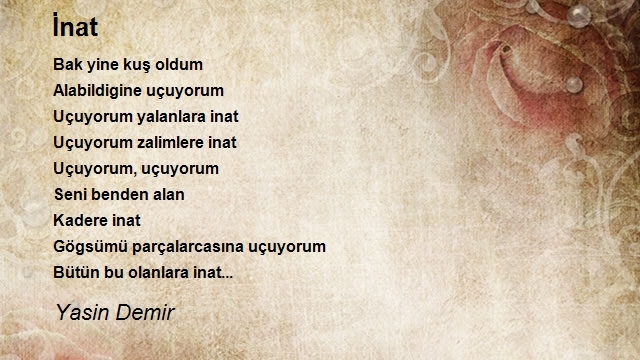 Yasin Demir