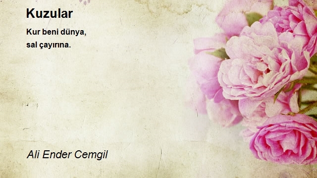 Ali Ender Cemgil