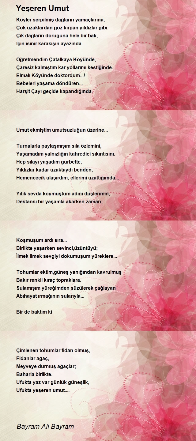 Bayram Ali Bayram