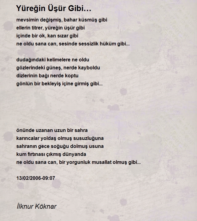 İlknur Köknar