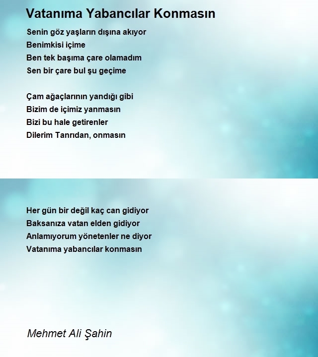 Mehmet Ali Şahin