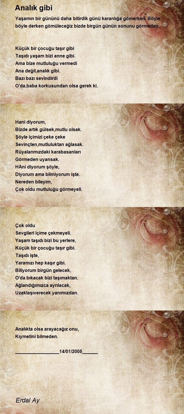 Erdal Ay