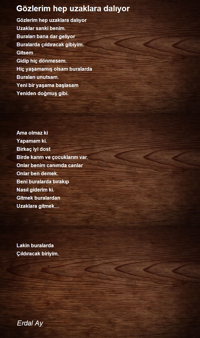 Erdal Ay
