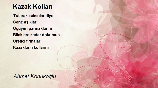 Ahmet Konukoğlu