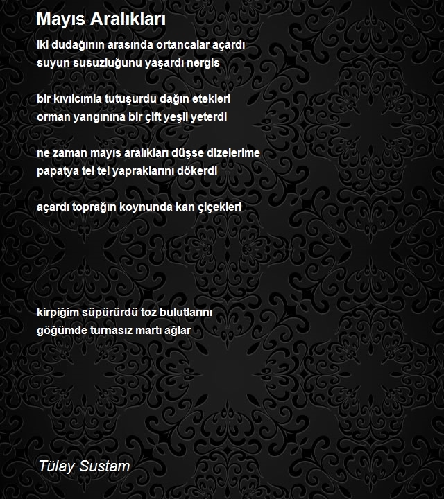 Tülay Sustam