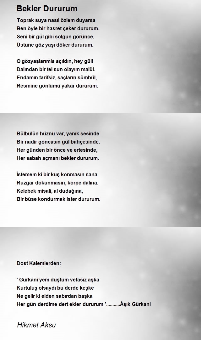 Hikmet Aksu