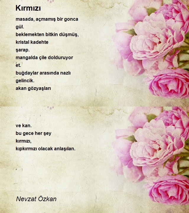 Nevzat Özkan