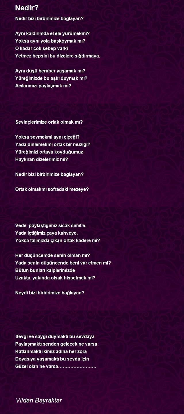 Vildan Bayraktar