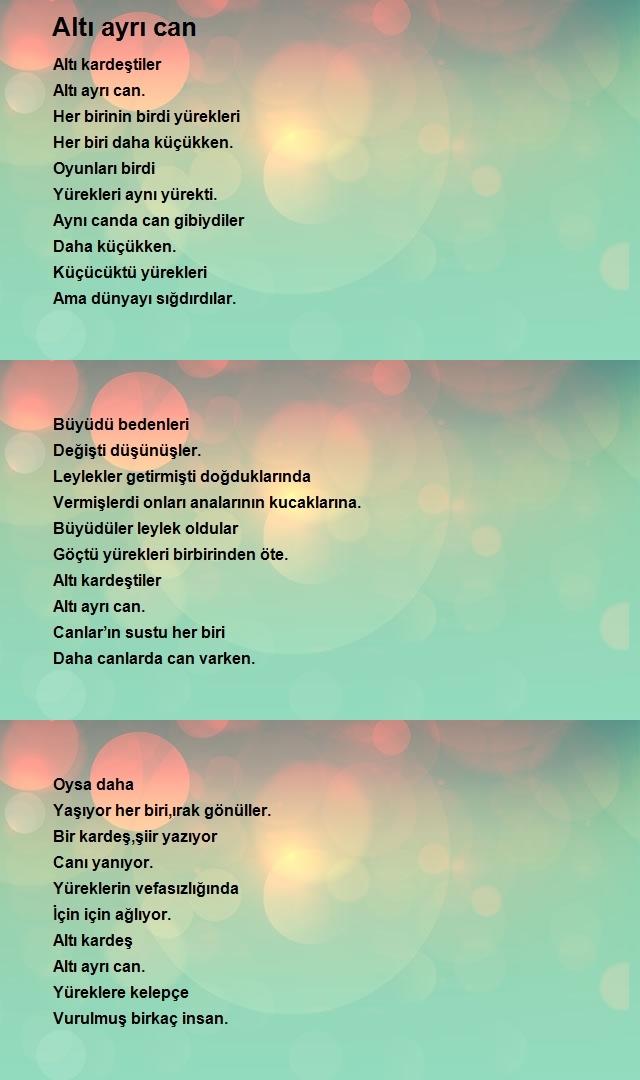 Erdal Ay