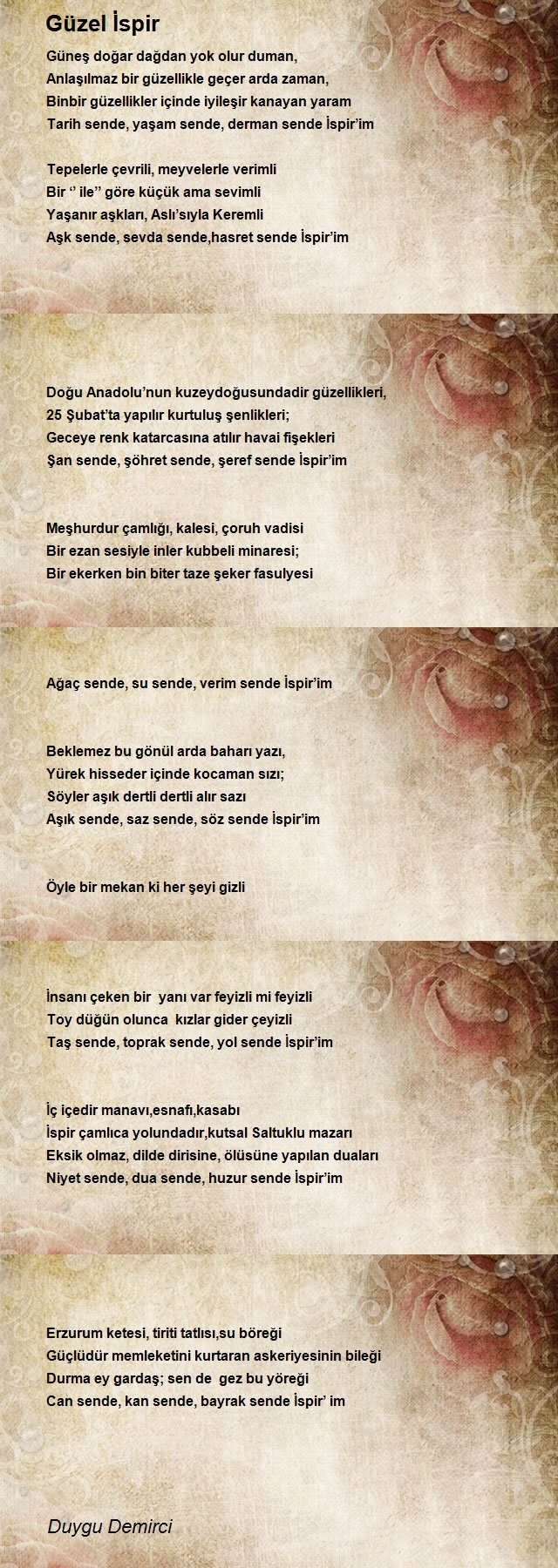 Duygu Demirci