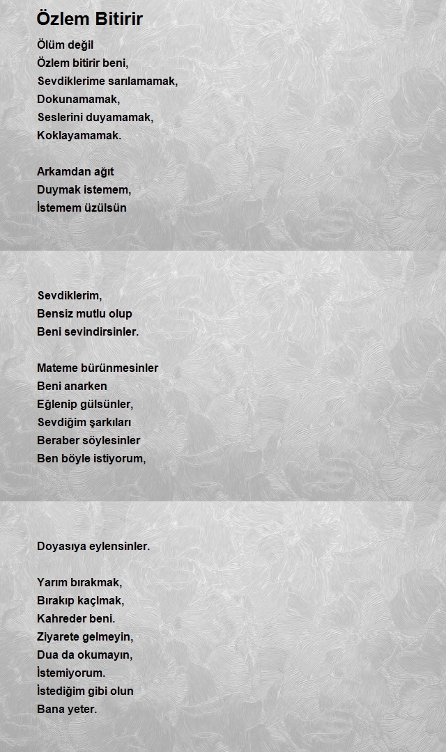 Süheyl Türkoğlu