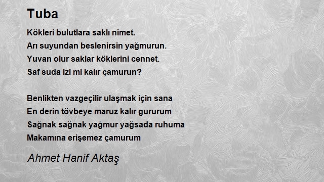 Ahmet Hanif Aktaş