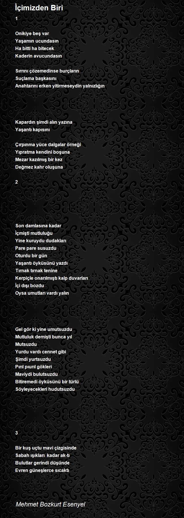 Mehmet Bozkurt Esenyel