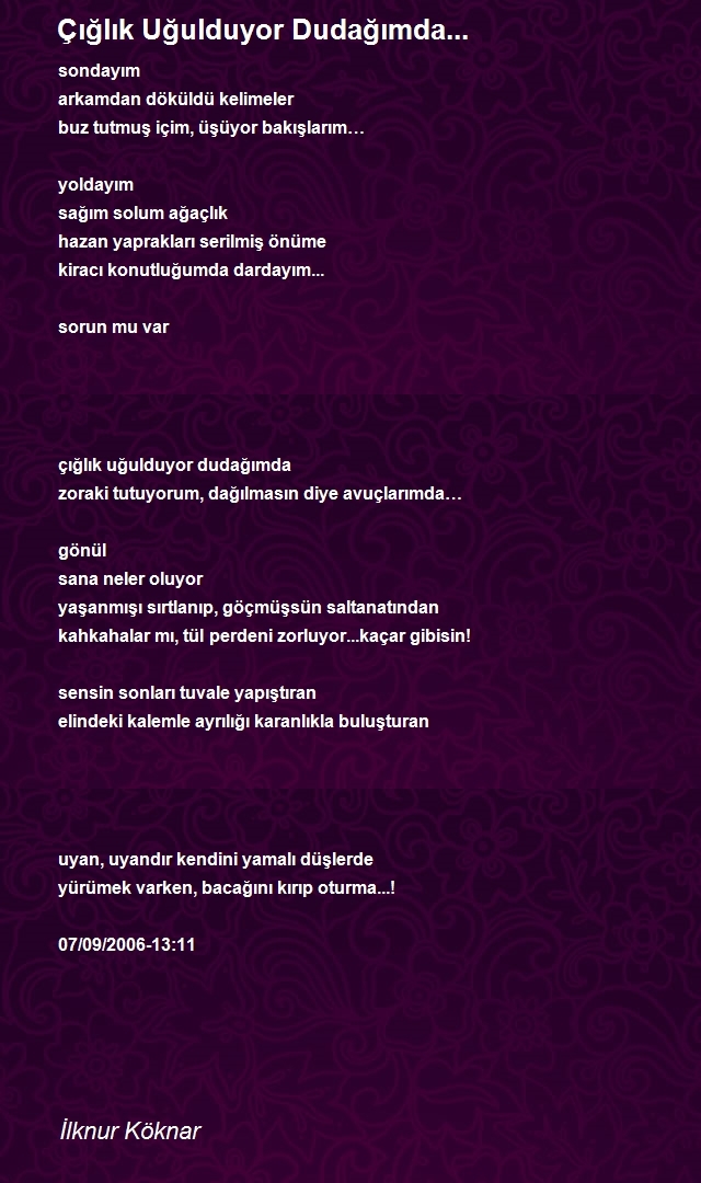 İlknur Köknar