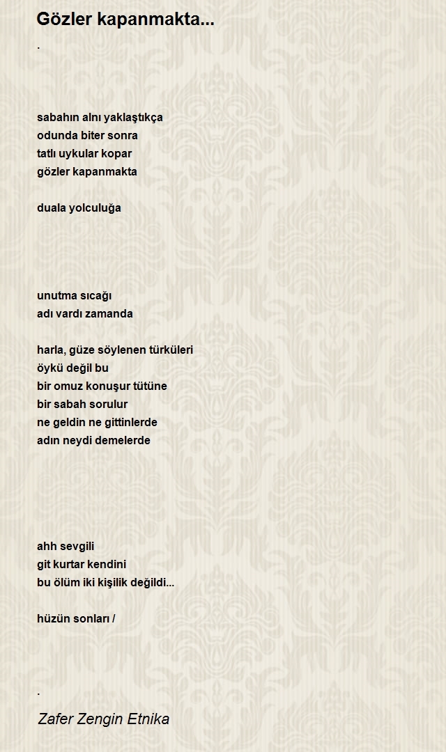Zafer Zengin Etnika