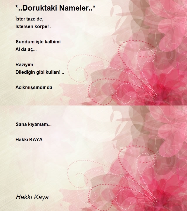 Hakkı Kaya