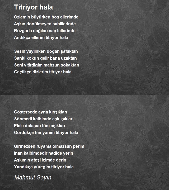 Mahmut Sayın