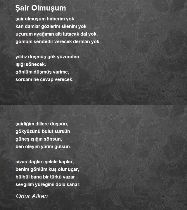 Onur Alkan
