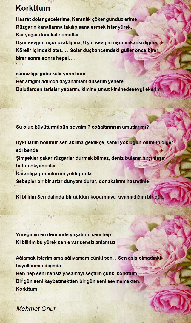 Mehmet Onur