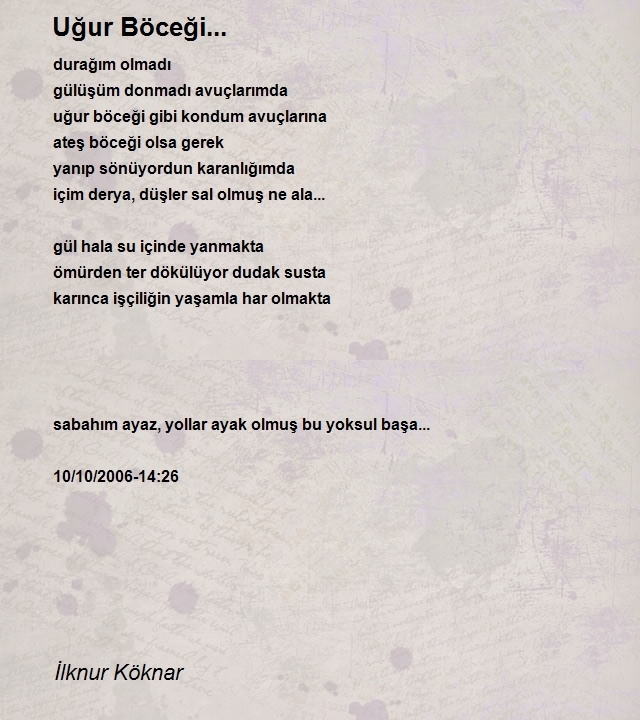 İlknur Köknar