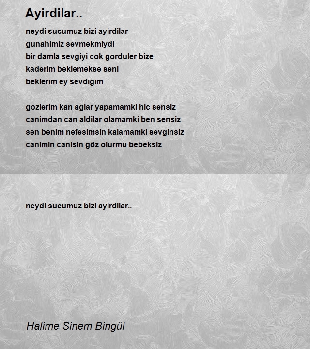 Halime Sinem Bingül