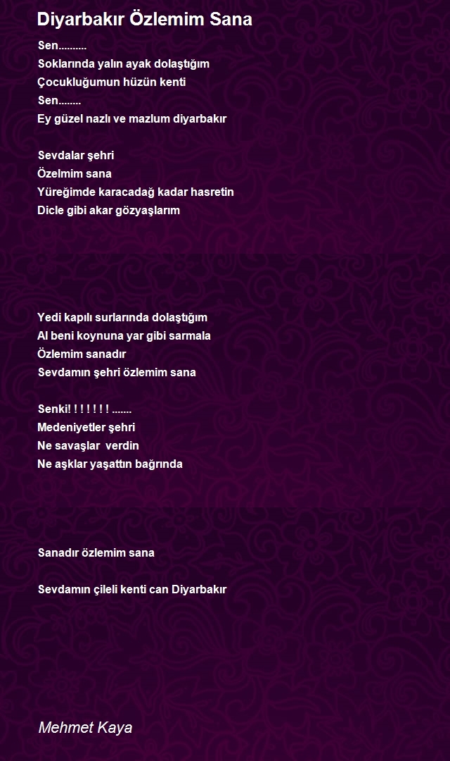 Mehmet Kaya