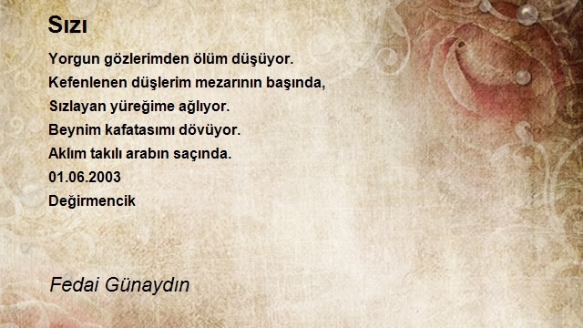 Fedai Günaydın