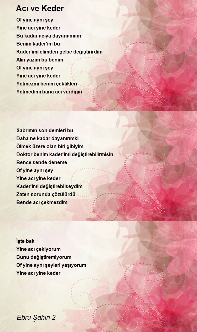 Ebru Şahin 2
