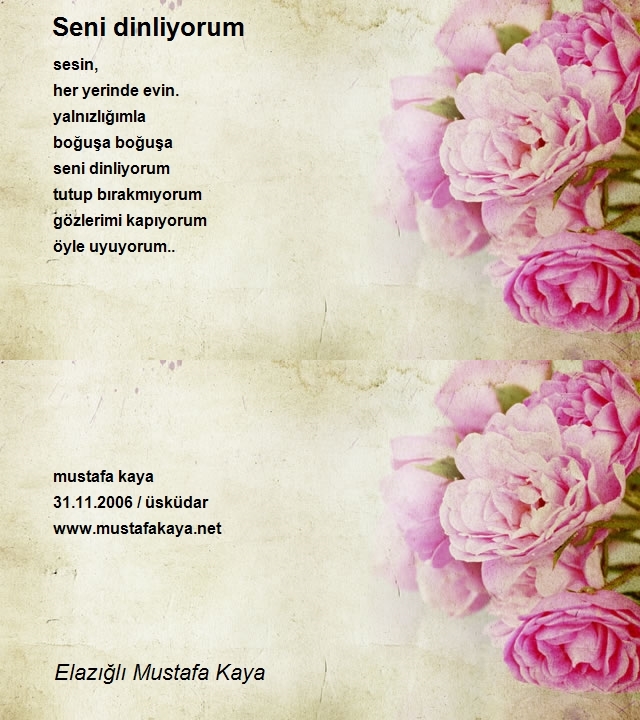 Elazığlı Mustafa Kaya