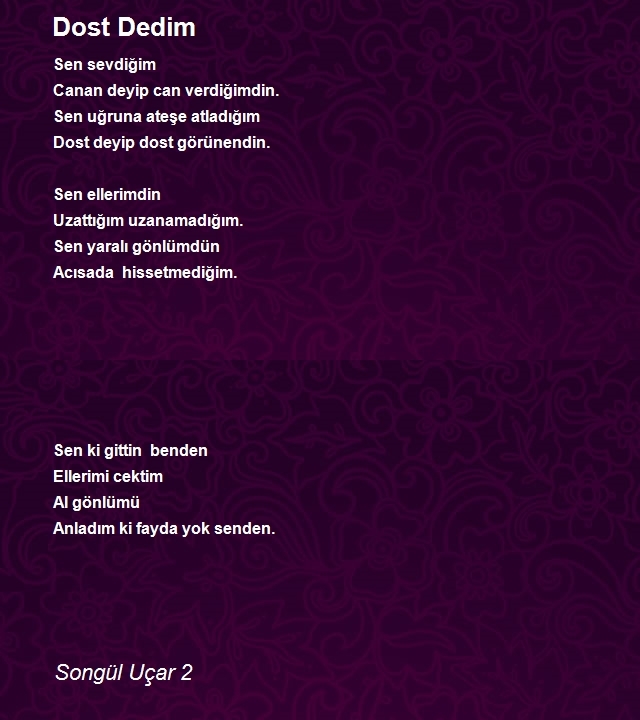 Songül Uçar 2