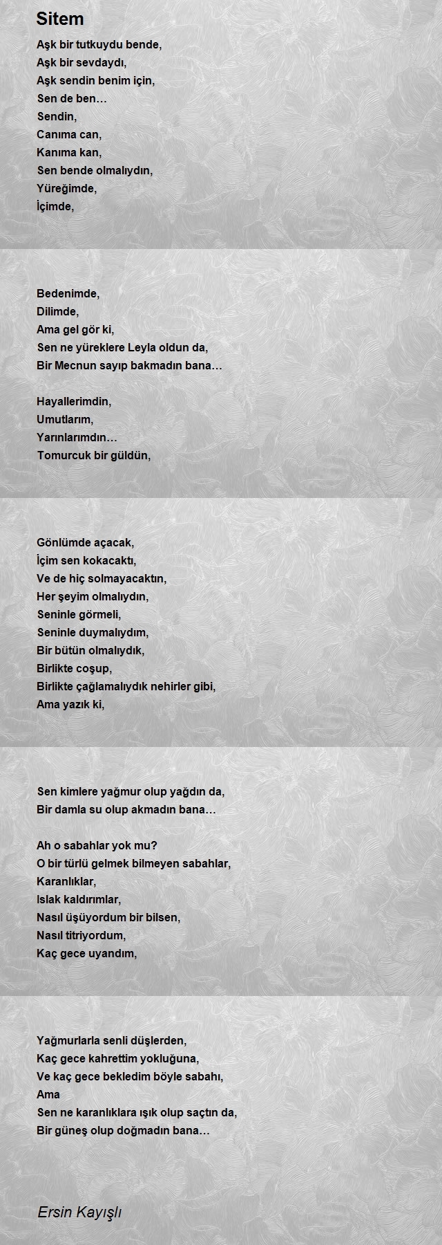 Ersin Kayışlı