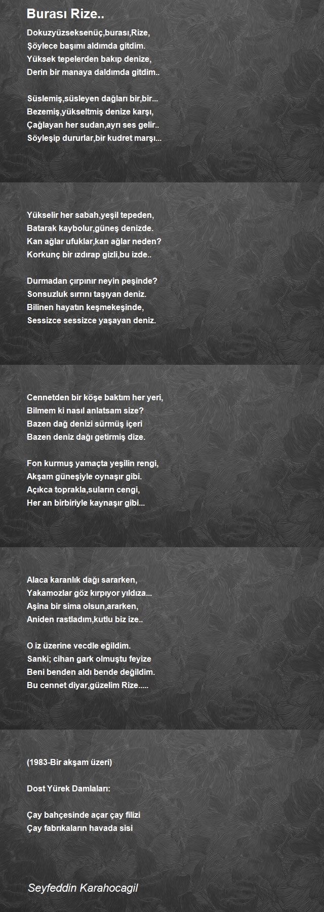 Seyfeddin Karahocagil