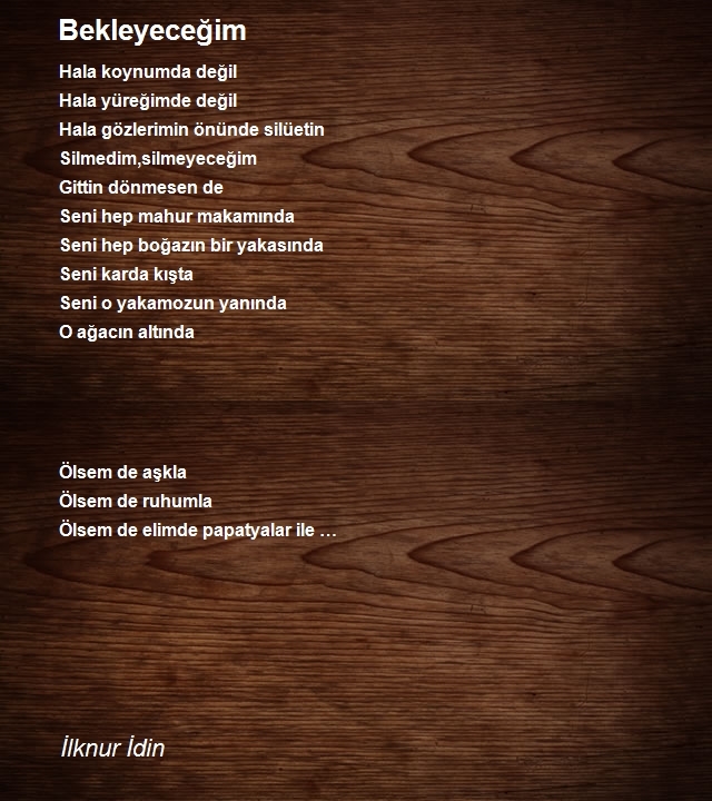 İlknur İdin