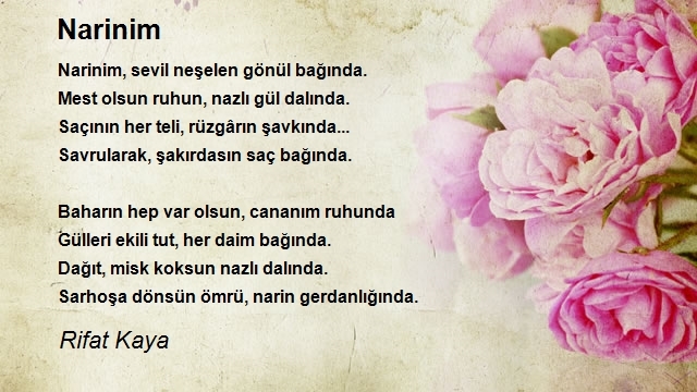Rifat Kaya