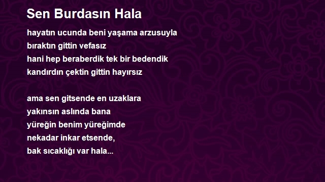 Şair Sonsuzumsun