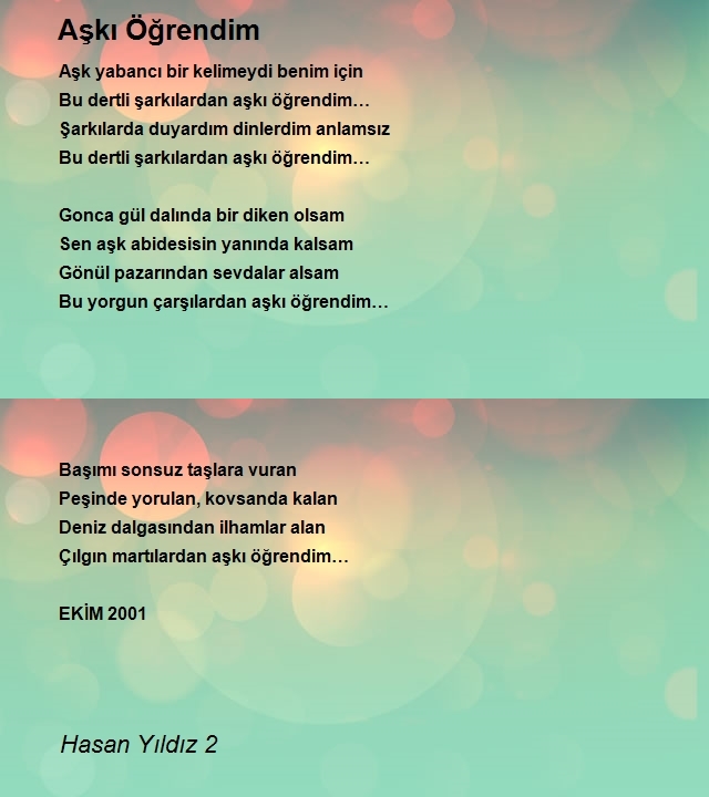 Hasan Yıldız 2