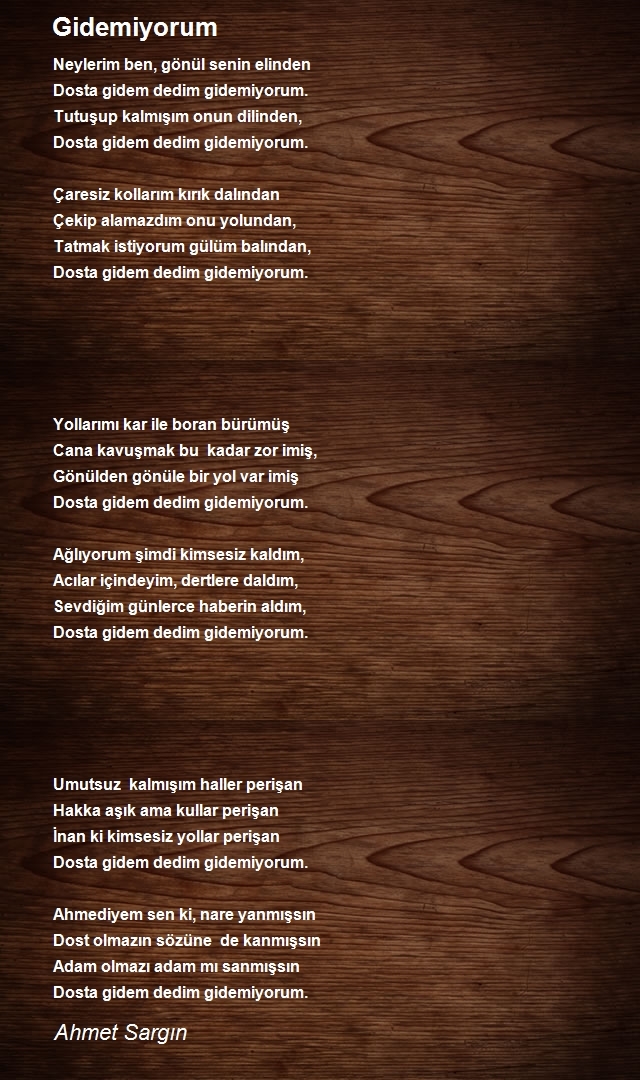 Ahmet Sargın
