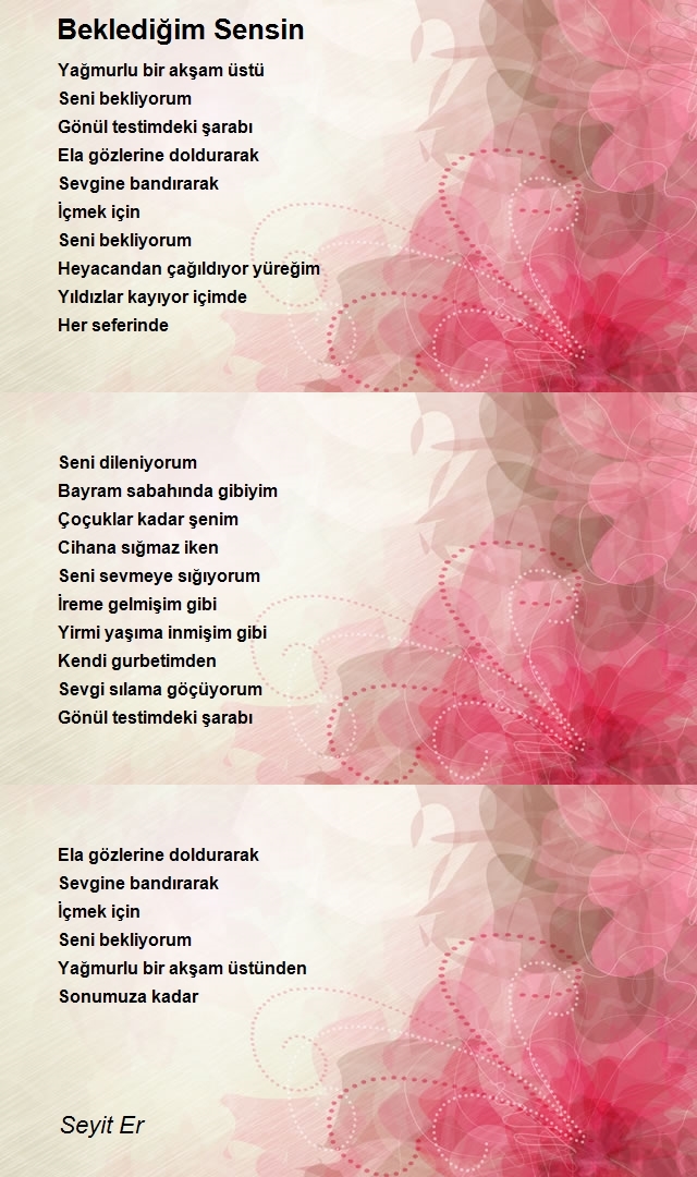 Seyit Er