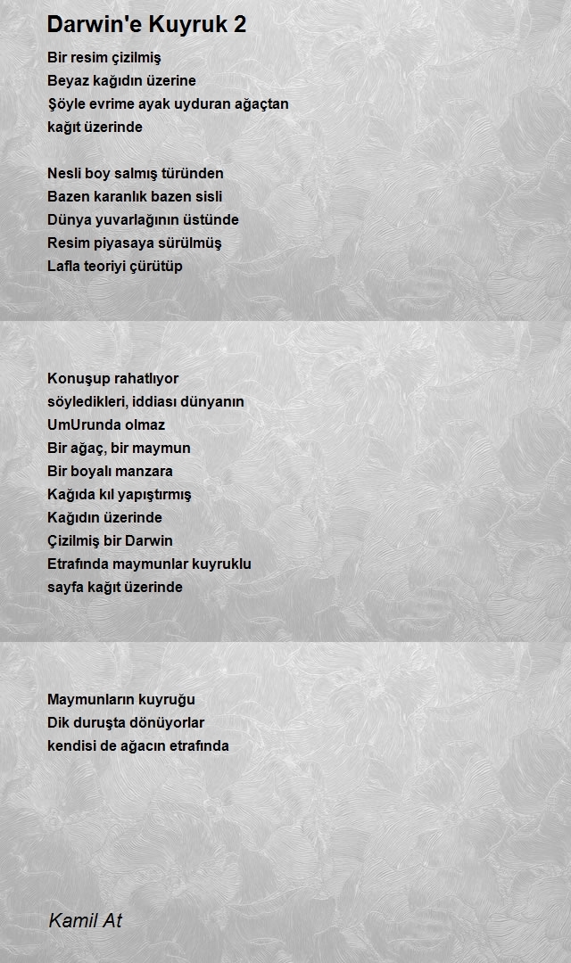 Kamil At