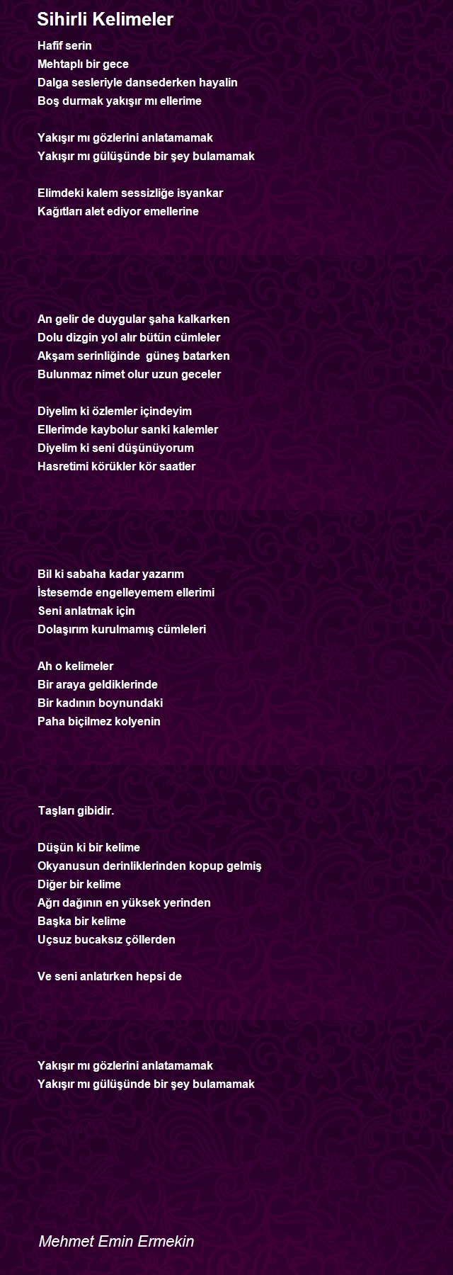 Mehmet Emin Ermekin