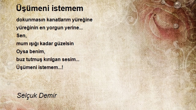 Selçuk Demir