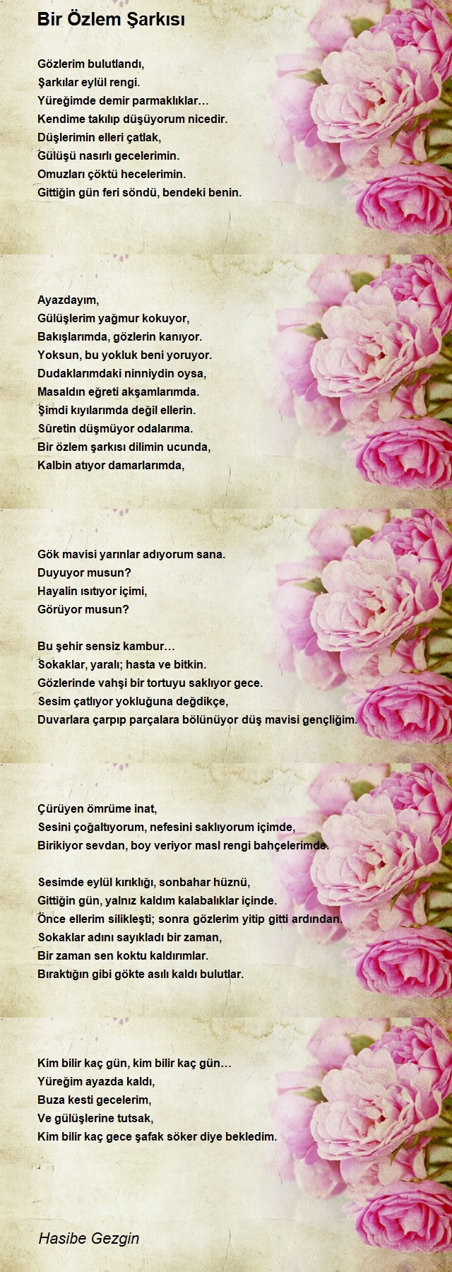 Hasibe Gezgin
