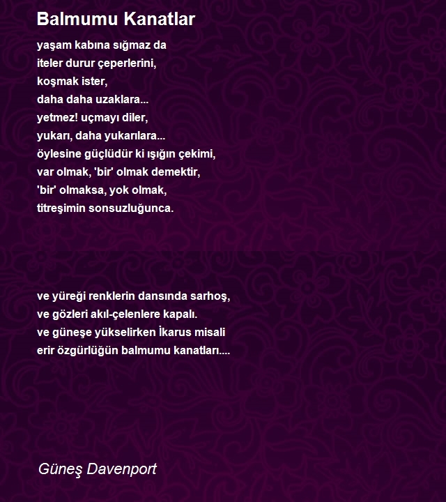 Güneş Davenport