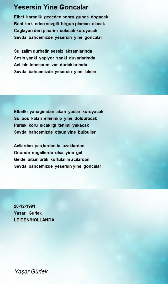 Yaşar Gürlek